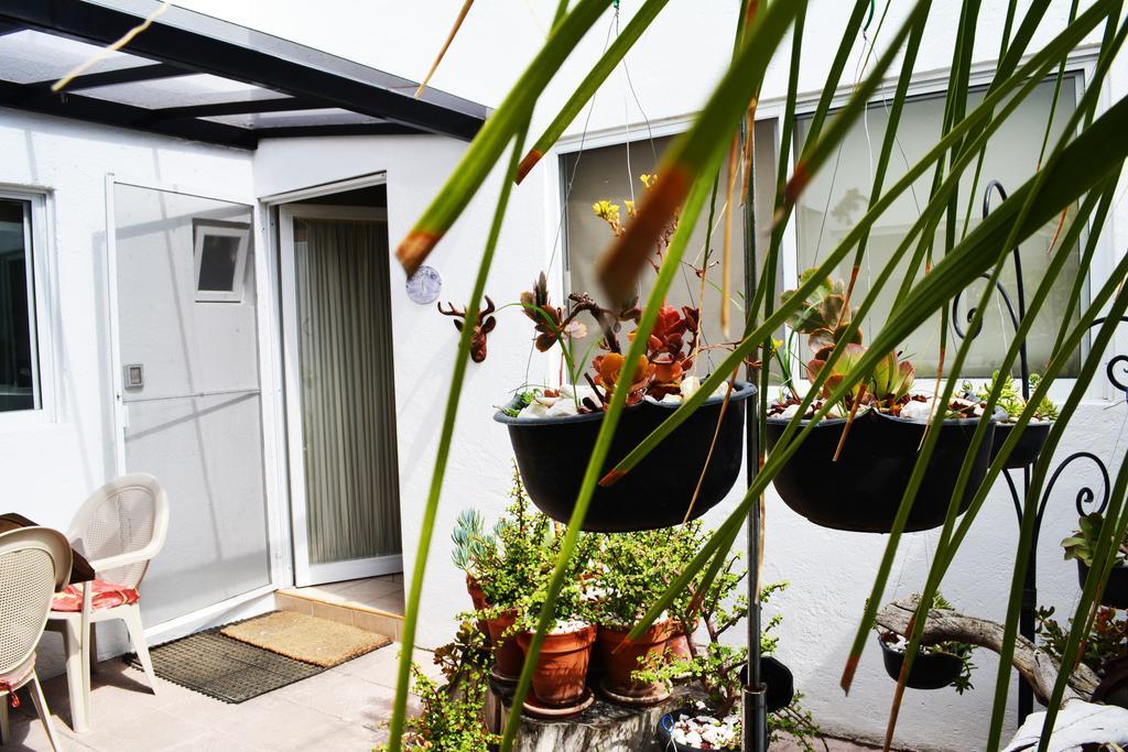 Residencia Sofia Hotell Querétaro Exteriör bild