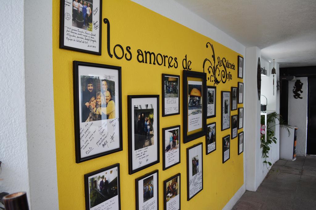 Residencia Sofia Hotell Querétaro Exteriör bild